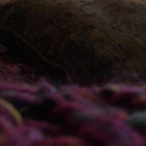 Meet your Posher, Robin